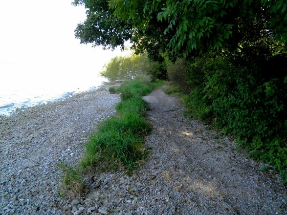 Ufer-Trail nördlich Breitbrunn