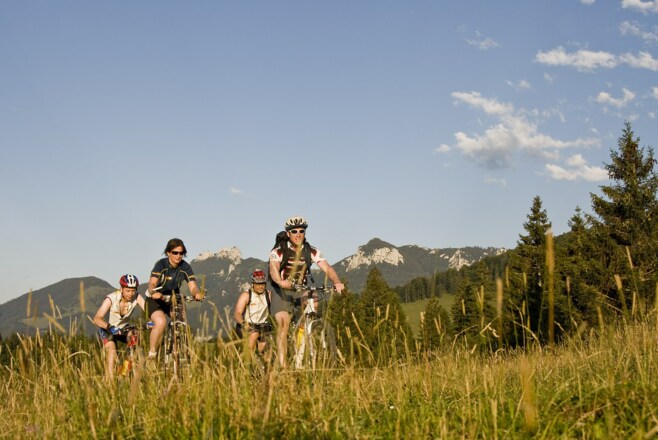Radfahrer in den Alpen