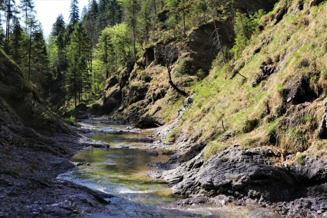 Dainingsbach-Schlucht am Walchensee