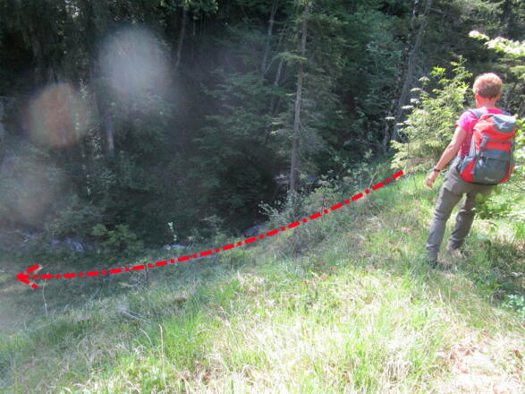 Nach kurzem Aufstieg nach der Bachbrücke oben am Wiesenrücken rechts ab, in den Markgraben!