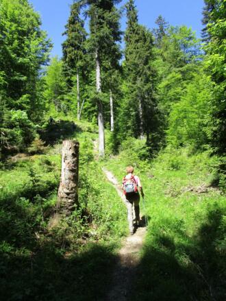 Auf dem herrlichen Bergpfad.