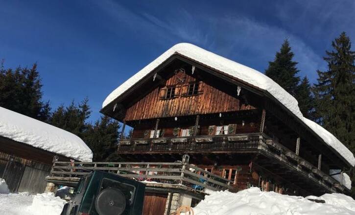 Denkalm im Winter