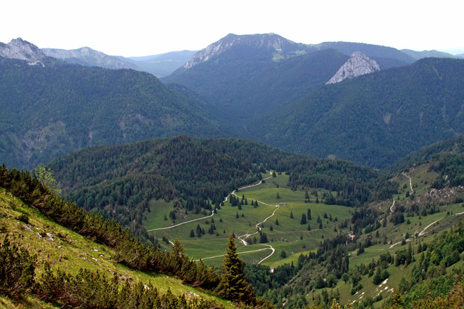 Blick zur Königsalm