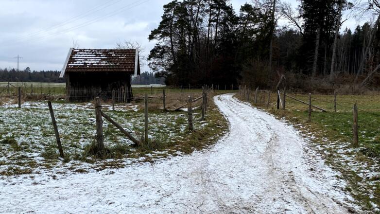 Waldweg Buchberg