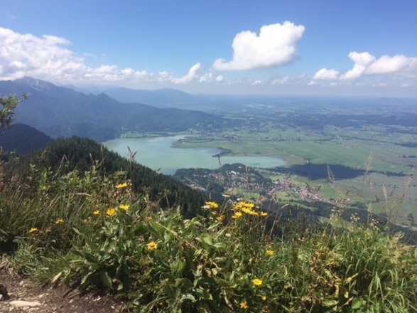 Blick vom Rabenkopf auf den Kochelsee