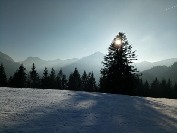 Wachselmoosalm und Hirschberg