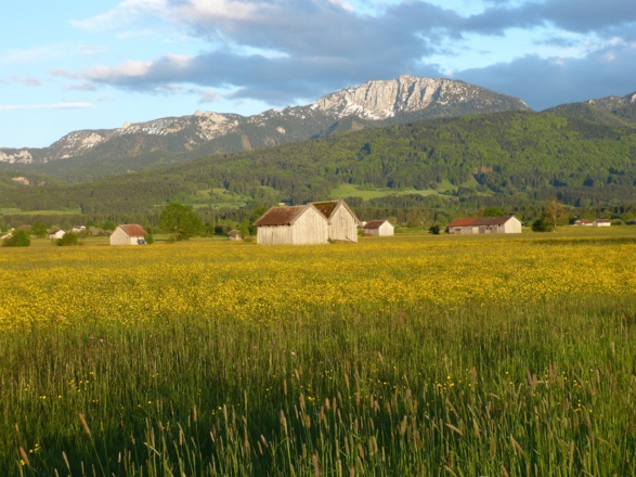 Rückweg durchs Loisach-Kochelsee-Moor
