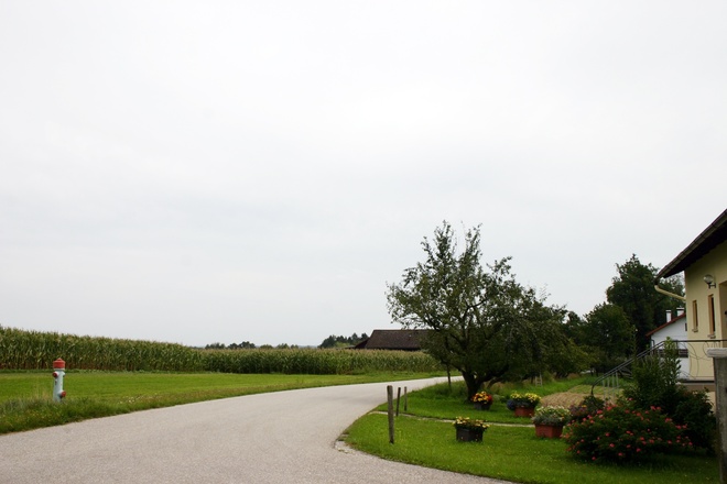 Bei Holzhäuseln.