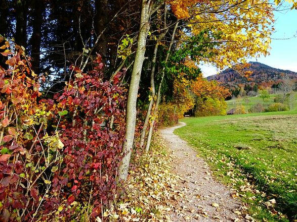 Herbst in Benediktbeuern