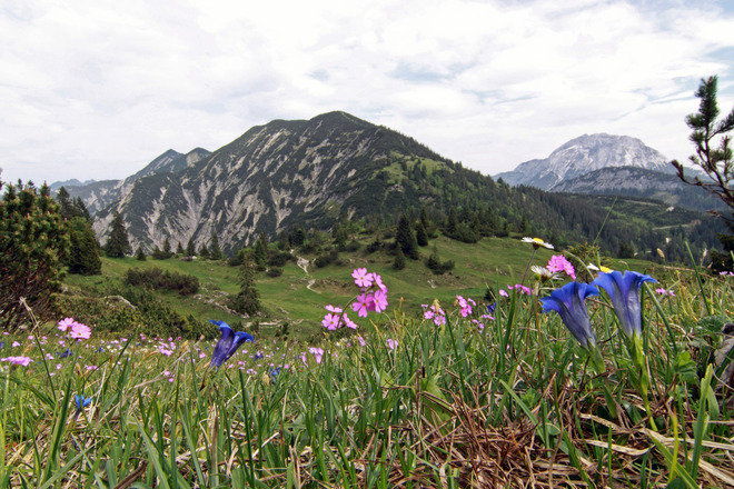 Blick zurück zur Blaubergschneid