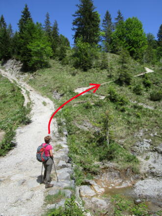 Nach der Steinbrücke gleich rechts abbiegen. Siehe Pfeilmarkierung.