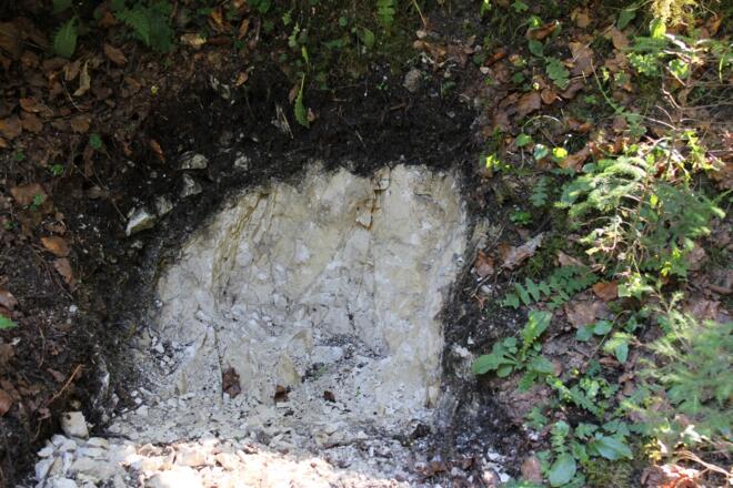 Bodenerlebnispfad Schwarzenbachtal