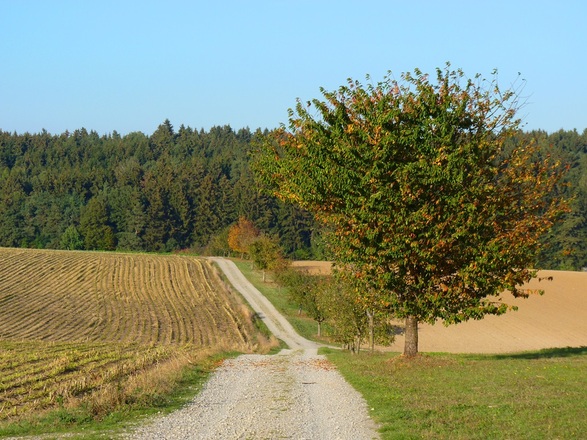 Bei Falkenberg