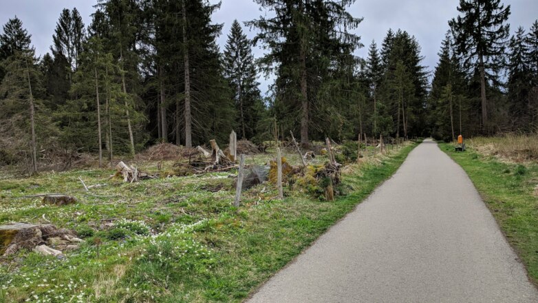 Weg bei Stein