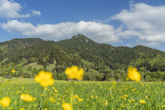 Blick auf Geierstein