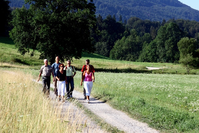 Von der Ramsau zum Aussichtspunkt