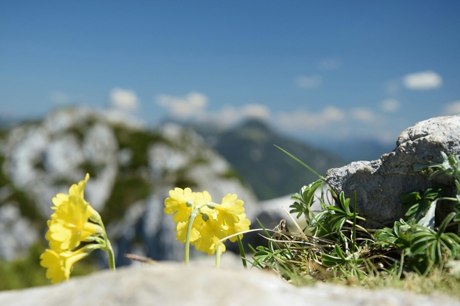 Montag, 05. Juni 2017 11:38:16 vorm.