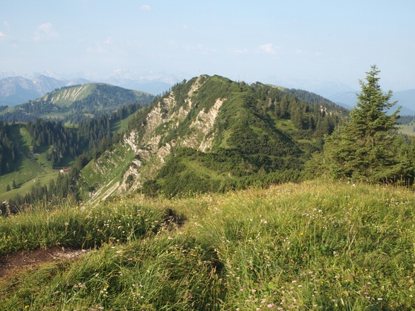Blick vom Ochsenkamp zum Auerkamp