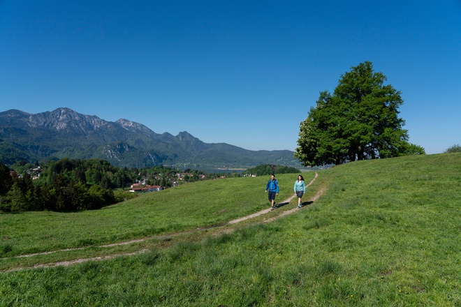 Aussichtspunkt Kohlleite mit Blick über Kochel a. See