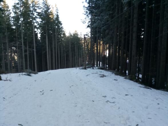 Zwischen Wachselmossalm und Aueralm