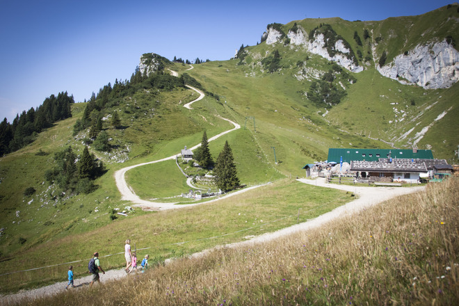 Stie-Alm im Sommer