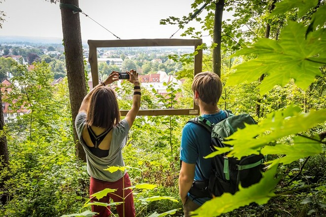 Blick vom bergwald