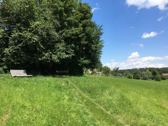 Sonnenliege am Wegesrand