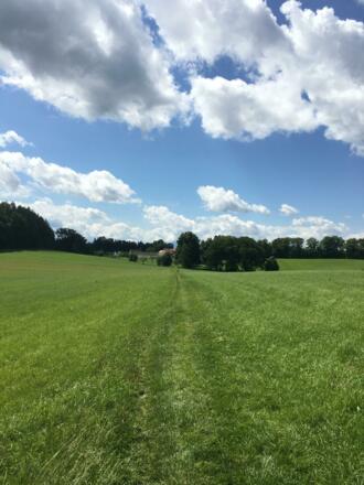 Weitblick auf Schlossgut Oberambach