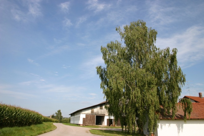 Bei Endach.