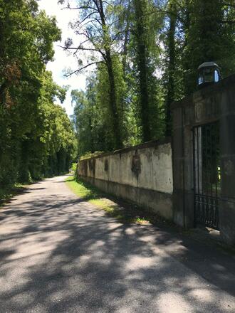 Weidenkammer Schlossmauer