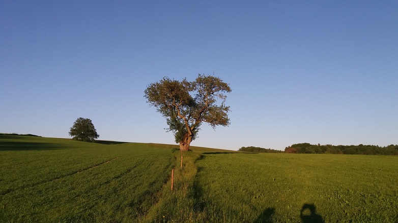 Wiesenlandschaft beim Rothenhof/Münsing