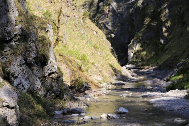 Dainingsbach-Schlucht am Walchensee