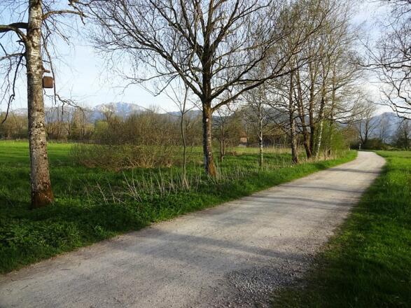 Weg zur Moosmühle