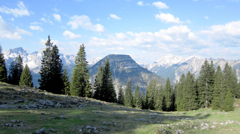 Von der Moosenalm sieht man im Westen den &quot;Tafelberg&quot; Vorderskopf