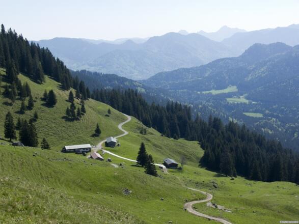 Neuhüttenalm