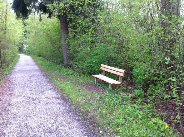 Am Starnberger See laden Aussichtsbänke zum Verweilen ein.