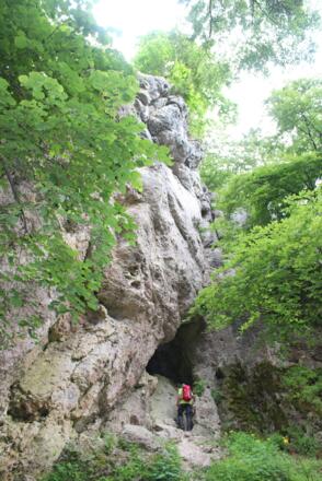 Die schöne Höhle am Bodenberg (Nr. 17)