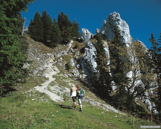 Gipfelanstieg Fockenstein