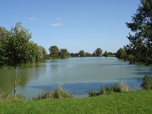 Der Hornauer Weiher