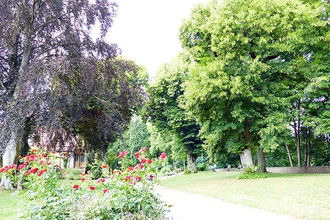 Der Burggarten an der Alten Burg.