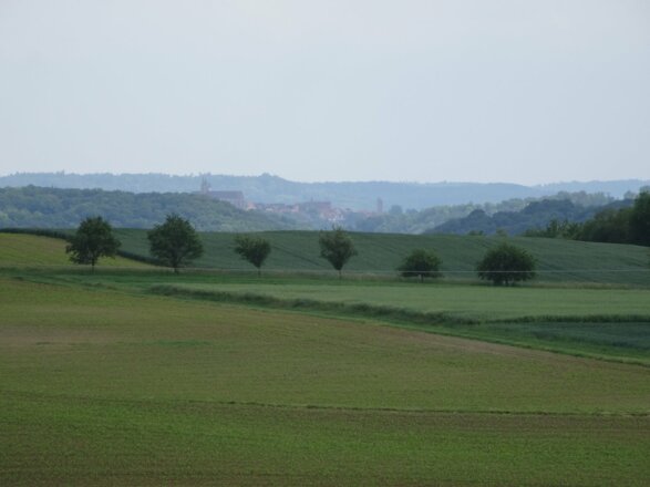 Blick auf Rothenburg ob der Tauber in der Ferne