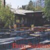 Biergarten auf Burg Saalenstein