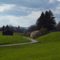 Mitten durch die idyllische Hügellandschaft führt der Weg vom Schellenberg zurück nach Eberfing.