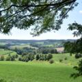 Landschaft Ering Tour 13