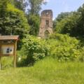 Die Ruine Speckfeld - traumhafter Picknickplatz