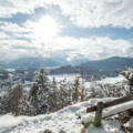 Aussicht von der winterlichen Marxenhöhe zum Watzmann
