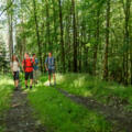 Wandern in Coburg.Rennsteig