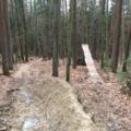Sprungschanze für Biker im Wald