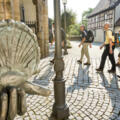 Wandern im Zeichen der Muschel