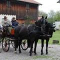 Kutschfahrten Weilheim